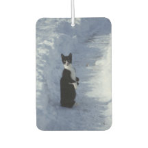 chat dans la neige