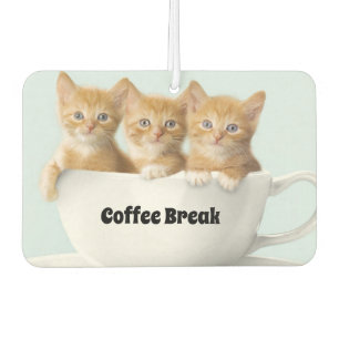 Désodorisant Pour Voiture Chatons Air Freshener