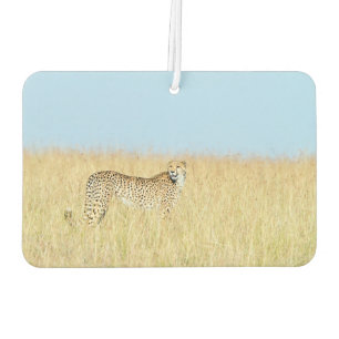 Désodorisant Pour Voiture Cheetah