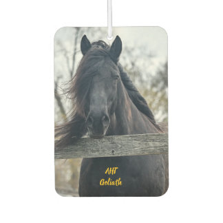 Désodorisant Pour Voiture Cheval AHT Secourt Goliath