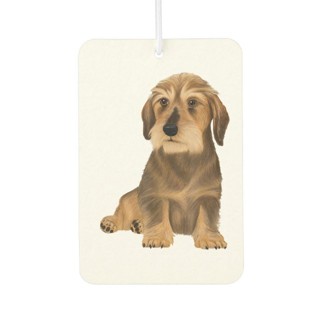 Désodorisant Pour Voiture Chien assis à poils durs Dachshund (Devant)