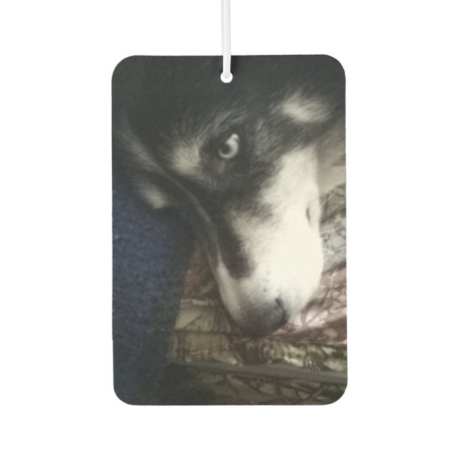 Désodorisant Pour Voiture Chien endormi (Devant)
