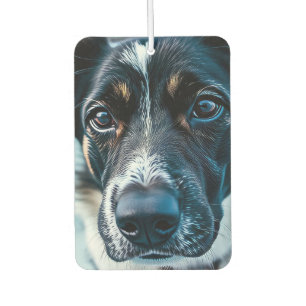 Désodorisant Pour Voiture Chien Mignon Qui Regarde Autour