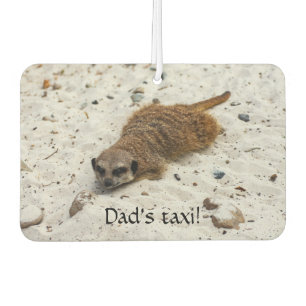 Désodorisant Pour Voiture Chillin' Meerkat Rafraîchiseur d'air