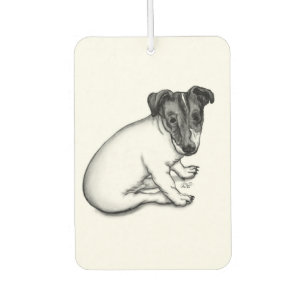 Désodorisant Pour Voiture Chiot Jack Russell 10 semaines