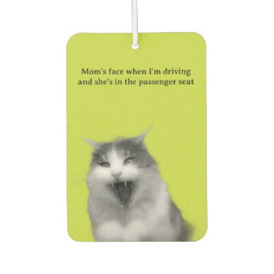 Désodorisant Pour Voiture Conduire avec Maman