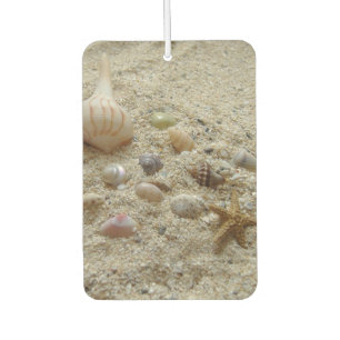 Désodorisant Pour Voiture Coquillages Dans Le Sable