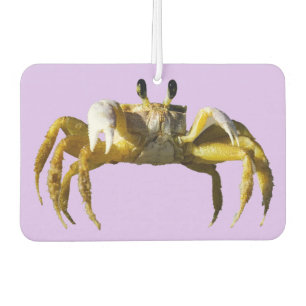 Désodorisant Pour Voiture Crabe