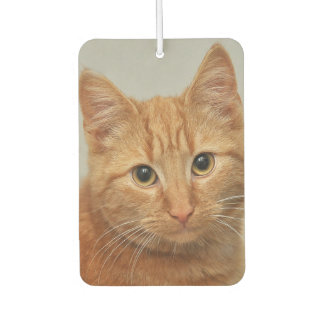 DÉSODORISANT POUR VOITURE CUSTOM YOUR CAT PHOTO AIR FRESHENER