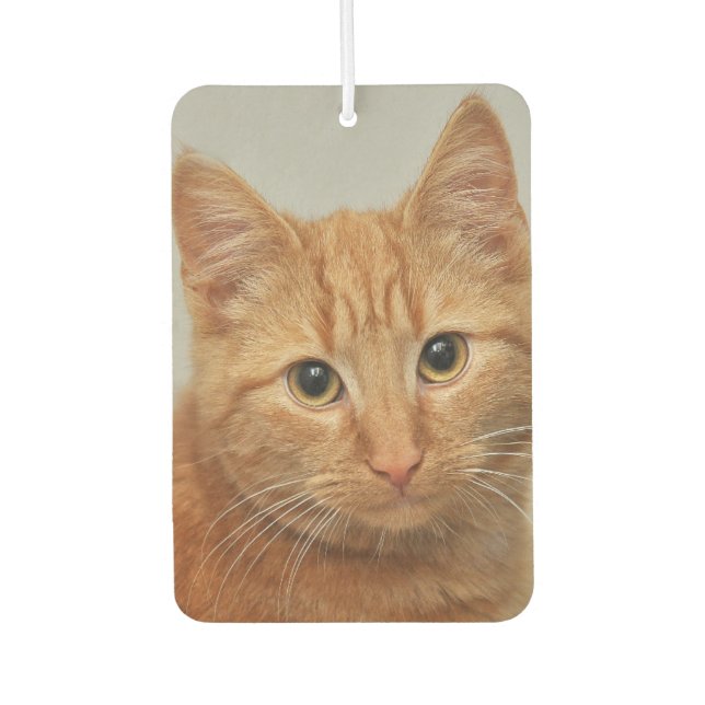 DÉSODORISANT POUR VOITURE CUSTOM YOUR CAT PHOTO AIR FRESHENER (Devant)