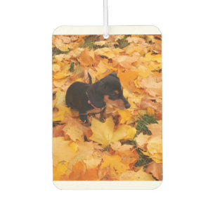 Désodorisant Pour Voiture Dachshund
