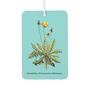 Désodorisant Pour Voiture Dandelion Sur Bleu