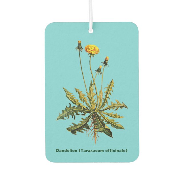 Désodorisant Pour Voiture Dandelion Sur Bleu (Devant)