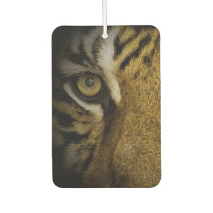 Désodorisant Pour Voiture Dans l'oeil d'un tigre