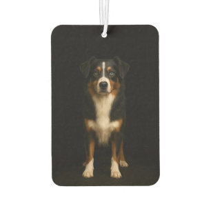Désodorisant Pour Voiture Défraichisseurs de voiture Black 4 Luxe Aussie She