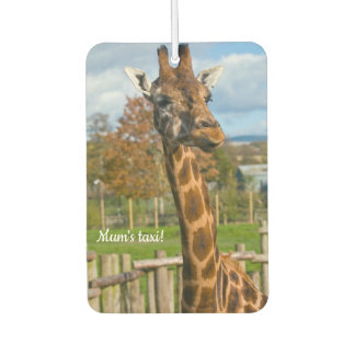 Désodorisant Pour Voiture Désodorisant voiture girafe