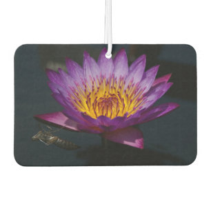 Désodorisant Pour Voiture Dragonfly Nénuphar de Lotus violet