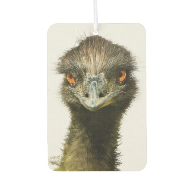 Désodorisant Pour Voiture Emu Look (Devant)
