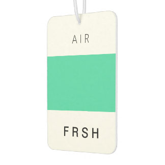 Désodorisant Pour Voiture Eucalyptus FRSH