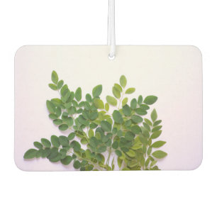 Désodorisant Pour Voiture Feuille Moringa avec espace texte
