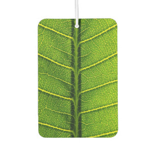Désodorisant Pour Voiture Feuille verte