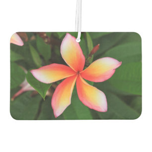 Désodorisant Pour Voiture Fleur de Frangipani