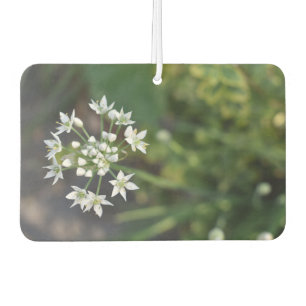 Désodorisant Pour Voiture Fleurs blanches délicieuses fleurs florales Photo 