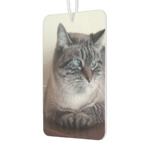Désodorisant Pour Voiture Flo Kitty-Kat