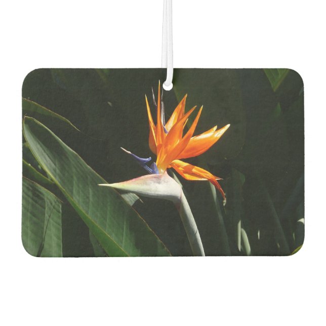 Désodorisant Pour Voiture Flower tropical orange paradise (Devant)