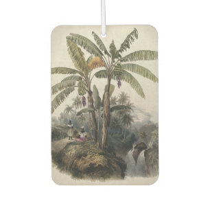 Désodorisant Pour Voiture Forêt de bananiers tropicaux antiques Bota vinta