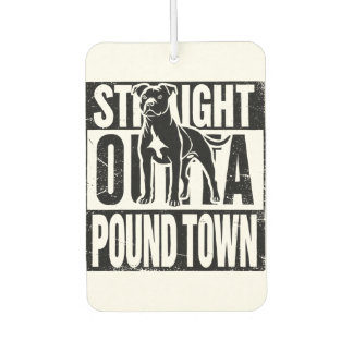 Désodorisant Pour Voiture Fraîcheur Air de Pound Town