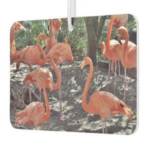 Désodorisant Pour Voiture Fraîcheur d'air de Flamants roses roses