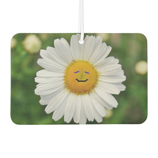 Désodorisant Pour Voiture Freshener à air souriant (Devant)