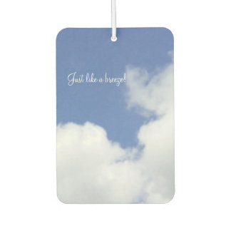Désodorisant Pour Voiture Freshener Air Designer