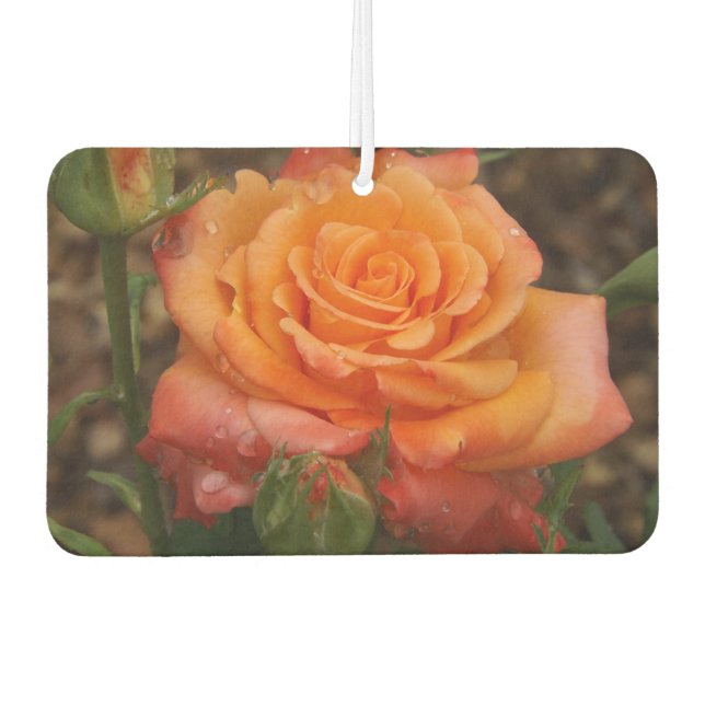 Désodorisant Pour Voiture Freshener orange Rose (Devant)