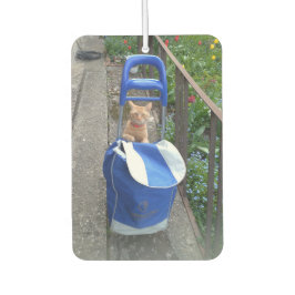 Désodorisant Pour Voiture Ginger Cat