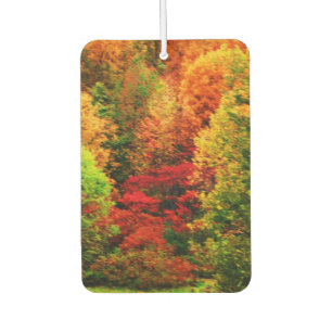 DÉSODORISANT POUR VOITURE GLEMENTATION AUTUMNS