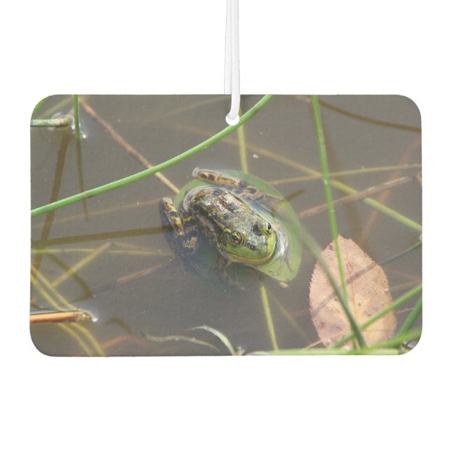 Désodorisant Pour Voiture Grenouille du vison (Devant)
