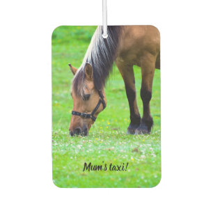 Désodorisant Pour Voiture Horse Machine à laver