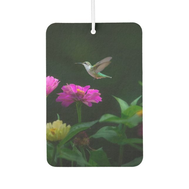 Désodorisant Pour Voiture Hummingbirds Times Deux voitures Air Freshener (Devant)