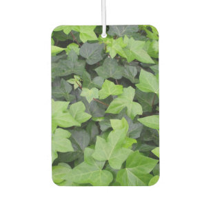 Désodorisant Pour Voiture Impression botanique verte Ivy