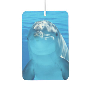 Désodorisant Pour Voiture Joli dauphin souriant océan Dauphin Lover