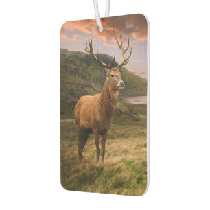 Désodorisant Pour Voiture Le cerf de cerf rouge dans un paysage de montagne