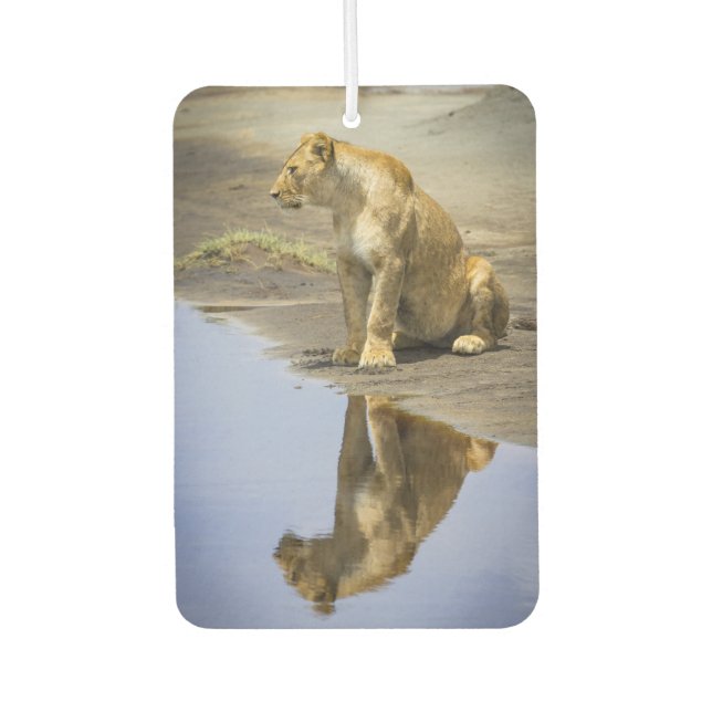 Désodorisant Pour Voiture Lioness Reflection Air Freshener (Devant)