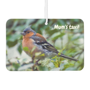Désodorisant pour voiture Little Chaffinch