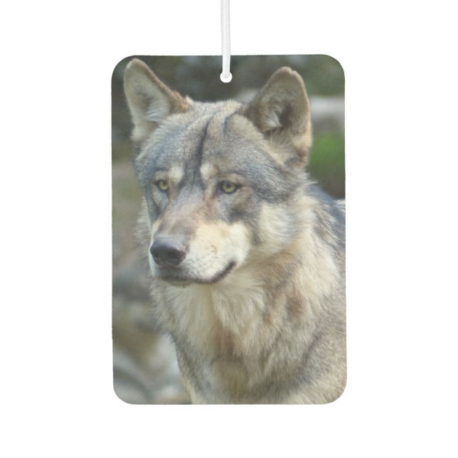 Désodorisant Pour Voiture Loup (Devant)