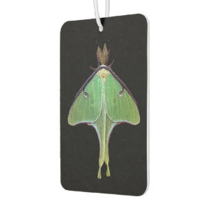 Désodorisant Pour Voiture Luna Moth Air Freshener