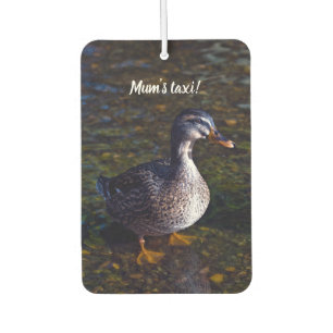 Désodorisant Pour Voiture Mallard Duck Freshener