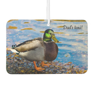 Désodorisant Pour Voiture Mallard Duck Freshener