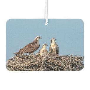 Désodorisant Pour Voiture Maman d'Osprey avec ses enfants